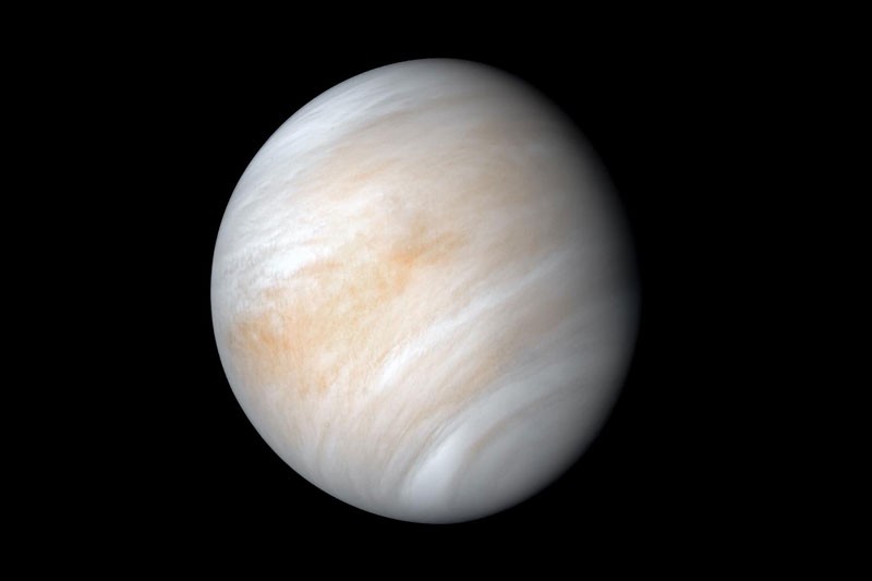 venus-007